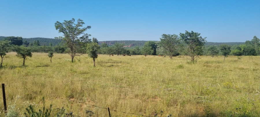 0 Bedroom Property for Sale in De Tweedespruit Gauteng