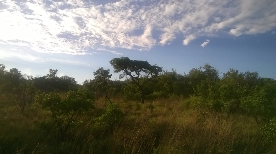 0 Bedroom Property for Sale in De Tweedespruit Gauteng