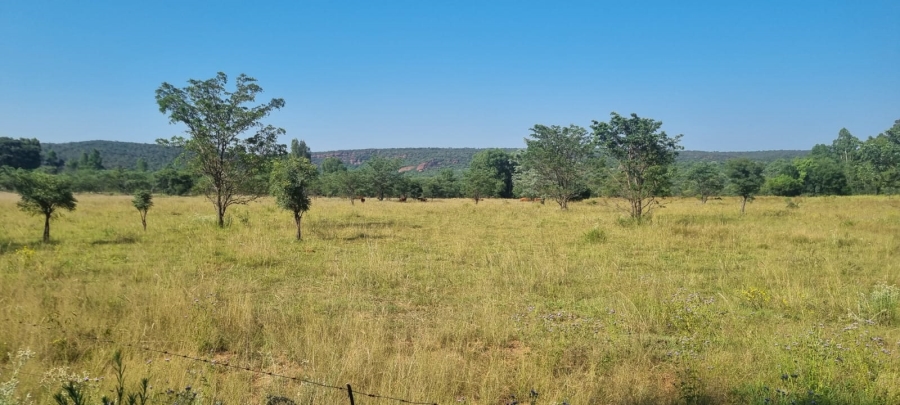 0 Bedroom Property for Sale in De Tweedespruit Gauteng