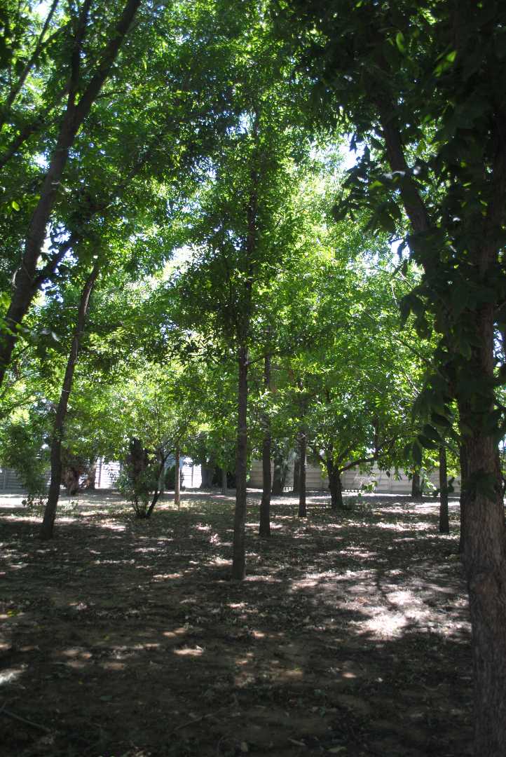 3 Bedroom Property for Sale in Vischgat Gauteng