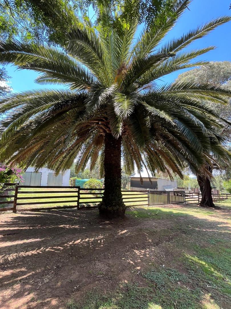 4 Bedroom Property for Sale in Krugersdorp Gauteng