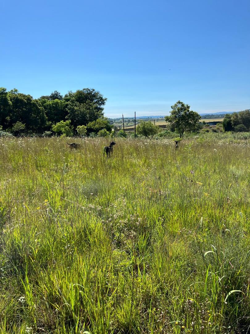 4 Bedroom Property for Sale in Krugersdorp Gauteng