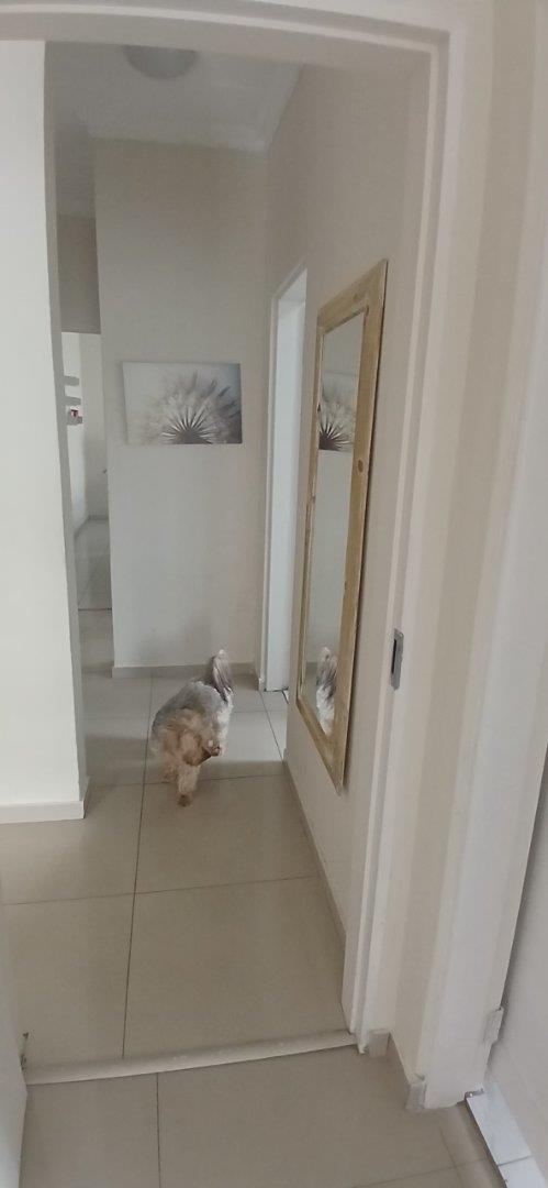 To Let 3 Bedroom Property for Rent in Broadacres Gauteng