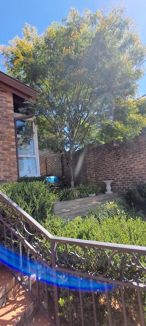 5 Bedroom Property for Sale in Bassonia Gauteng