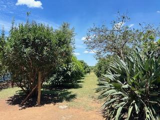 9 Bedroom Property for Sale in Vasfontein AH Gauteng