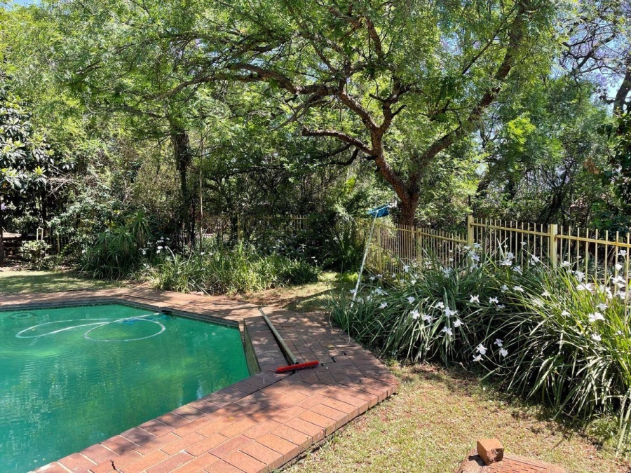 To Let 3 Bedroom Property for Rent in Muckleneuk Gauteng