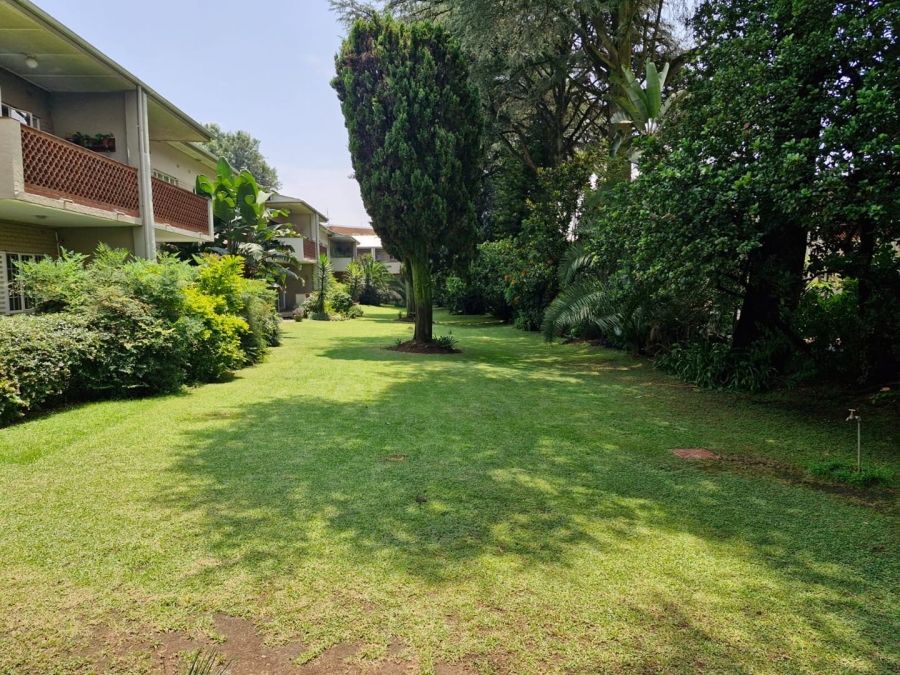 To Let 3 Bedroom Property for Rent in Illovo Gauteng