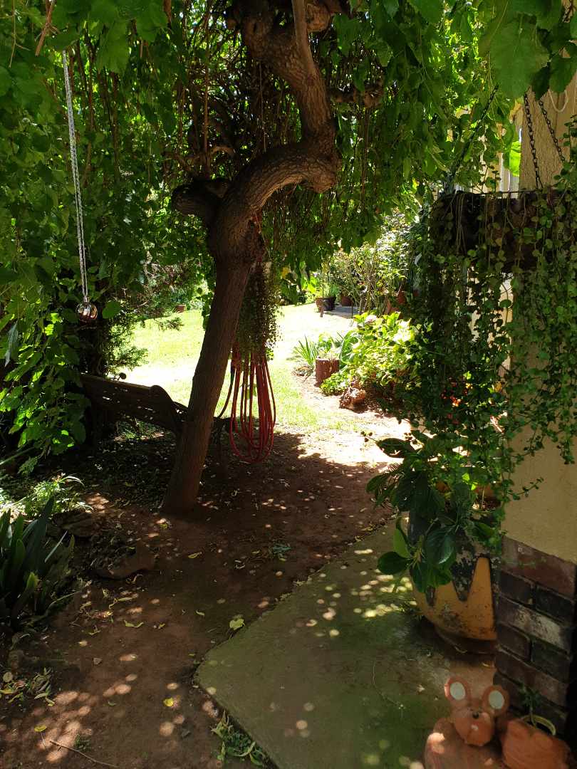 3 Bedroom Property for Sale in Selection Park Gauteng