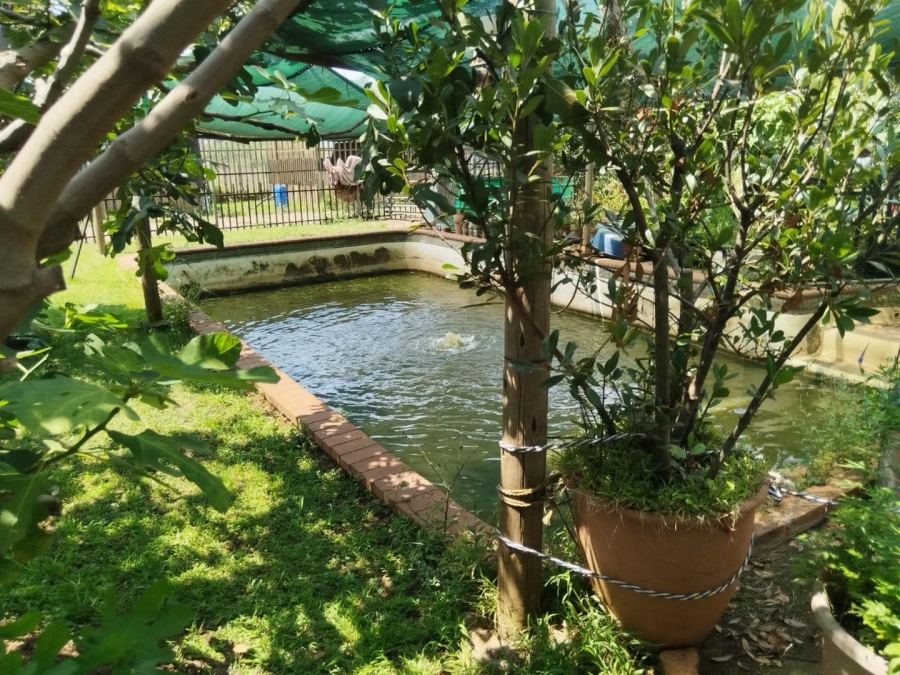 4 Bedroom Property for Sale in Bredell Gauteng