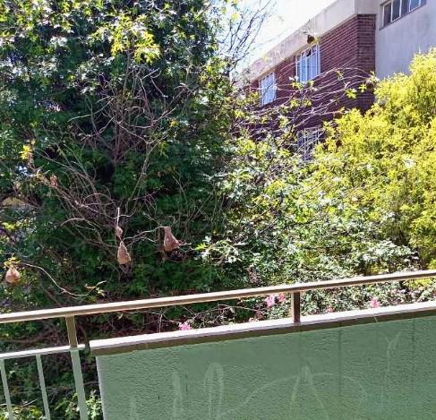 To Let 2 Bedroom Property for Rent in Gresswold Gauteng