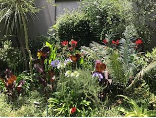 To Let 0 Bedroom Property for Rent in Hyde Park Gauteng