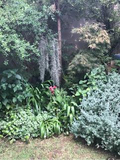 To Let 0 Bedroom Property for Rent in Hyde Park Gauteng