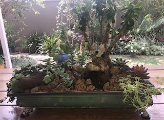 To Let 0 Bedroom Property for Rent in Hyde Park Gauteng