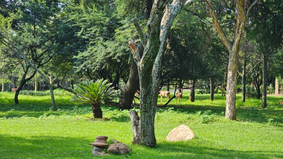 To Let 3 Bedroom Property for Rent in Wapadrand Gauteng