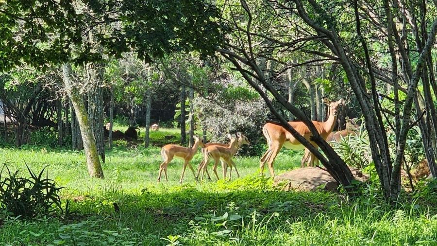 To Let 3 Bedroom Property for Rent in Wapadrand Gauteng