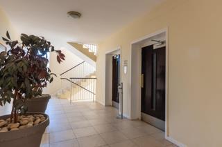 To Let 0 Bedroom Property for Rent in Illovo Gauteng