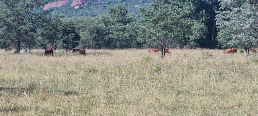 0 Bedroom Property for Sale in De Tweedespruit Gauteng