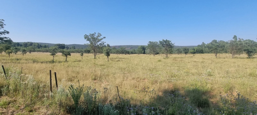 0 Bedroom Property for Sale in De Tweedespruit Gauteng