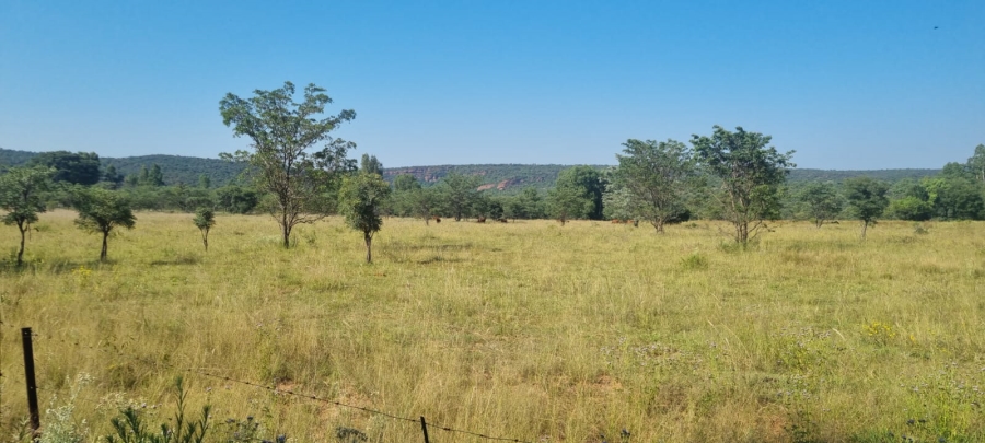 0 Bedroom Property for Sale in De Tweedespruit Gauteng