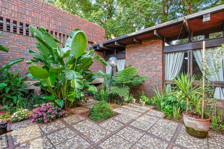 To Let 3 Bedroom Property for Rent in Muckleneuk Gauteng