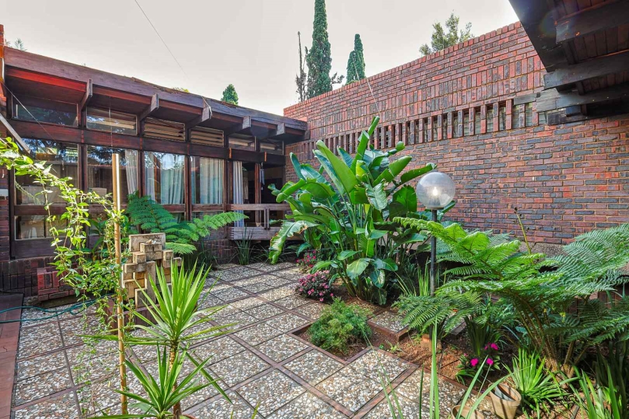 To Let 3 Bedroom Property for Rent in Muckleneuk Gauteng