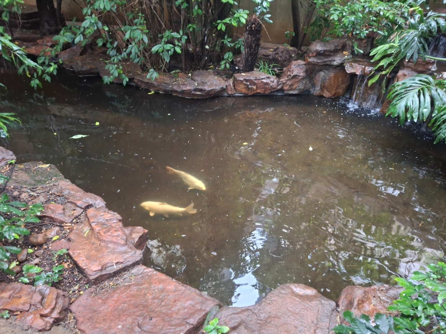 2 Bedroom Property for Sale in Morningside Gauteng