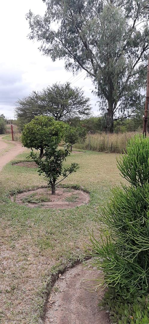 6 Bedroom Property for Sale in Bultfontein Gauteng