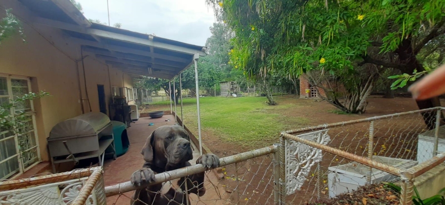 6 Bedroom Property for Sale in Bultfontein Gauteng