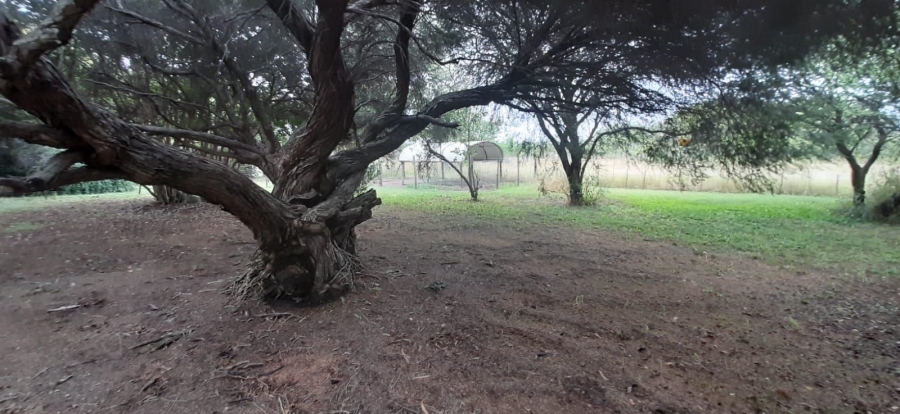 6 Bedroom Property for Sale in Bultfontein Gauteng