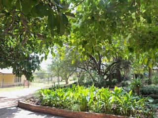 6 Bedroom Property for Sale in Bultfontein Gauteng