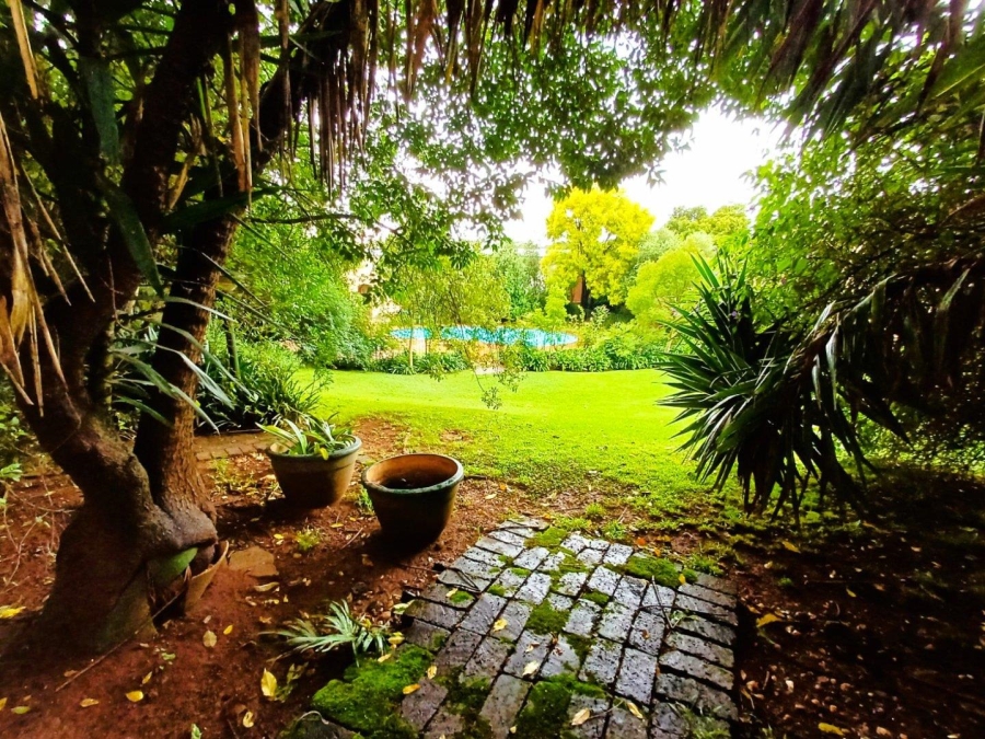 To Let 1 Bedroom Property for Rent in Victory Park Gauteng