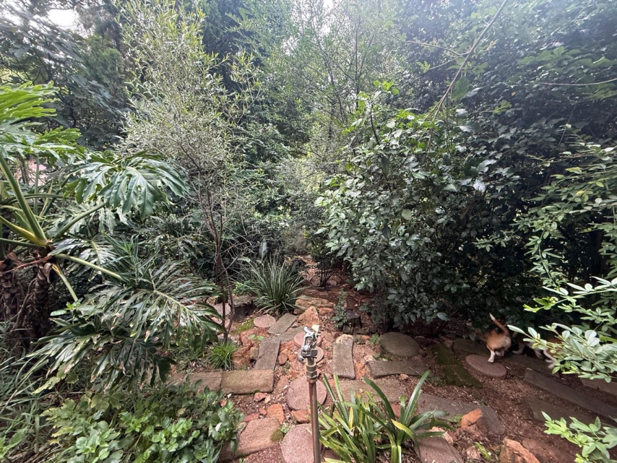 To Let 3 Bedroom Property for Rent in Honeyhills Gauteng