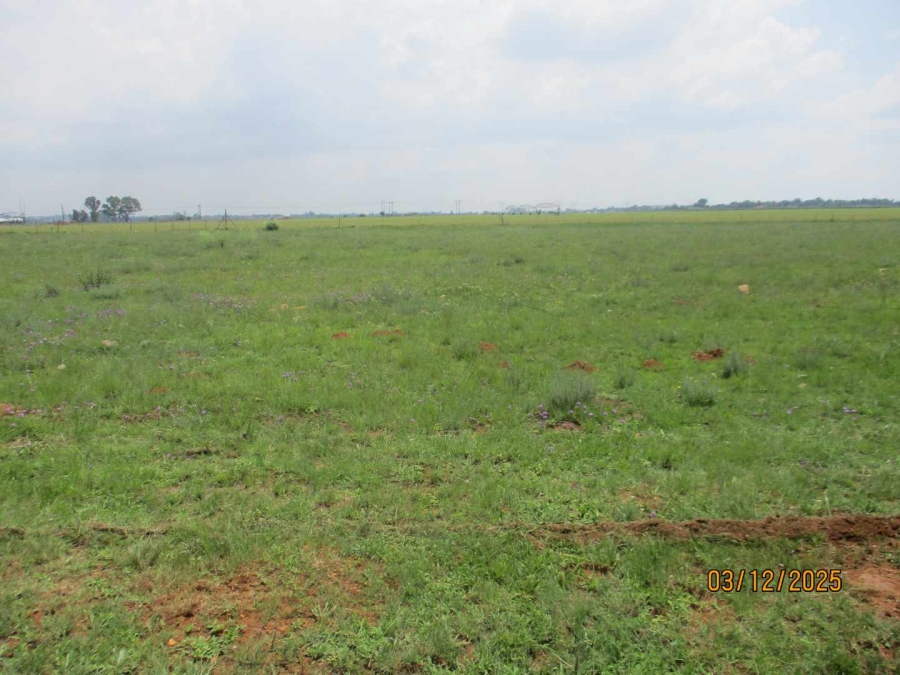 0 Bedroom Property for Sale in Henley on Klip Gauteng