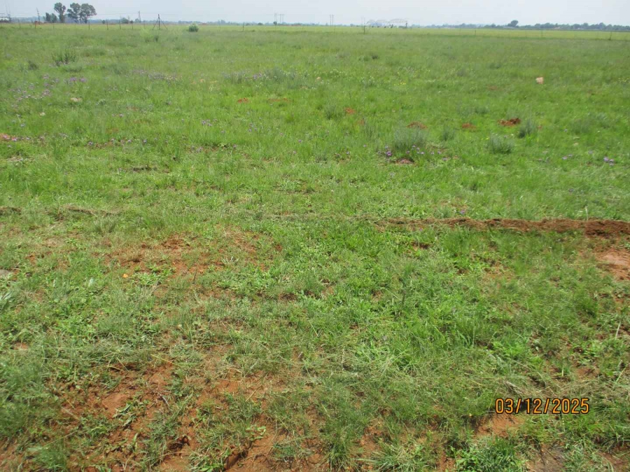 0 Bedroom Property for Sale in Henley on Klip Gauteng