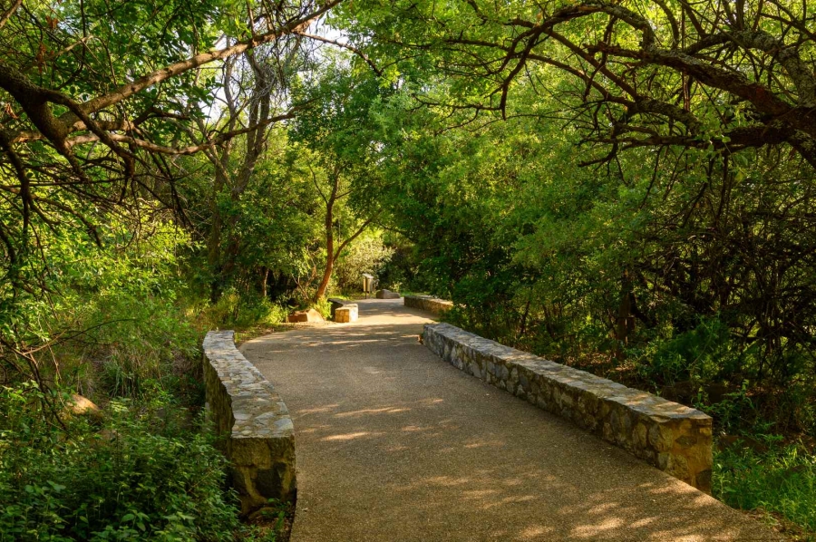 0 Bedroom Property for Sale in Steyn City Gauteng