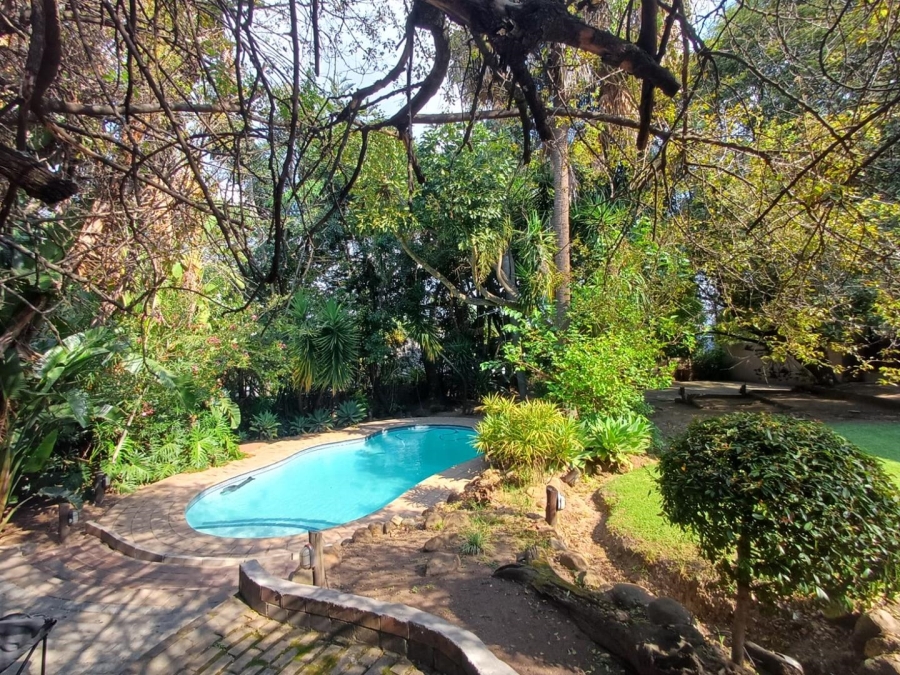 To Let 3 Bedroom Property for Rent in Olivedale Gauteng