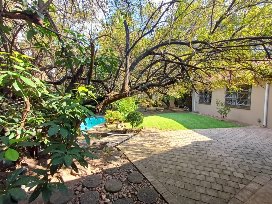 To Let 3 Bedroom Property for Rent in Olivedale Gauteng