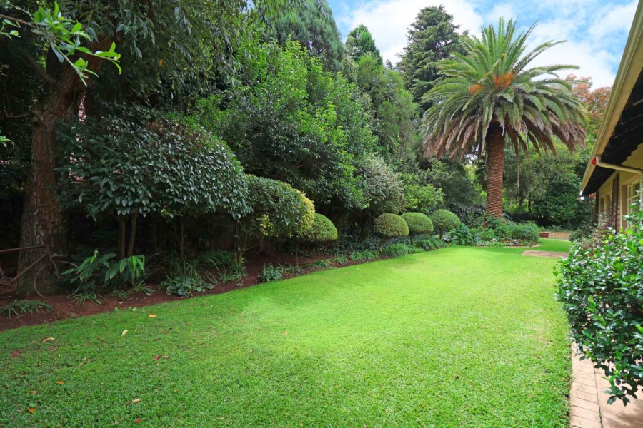 4 Bedroom Property for Sale in Morehill Gauteng