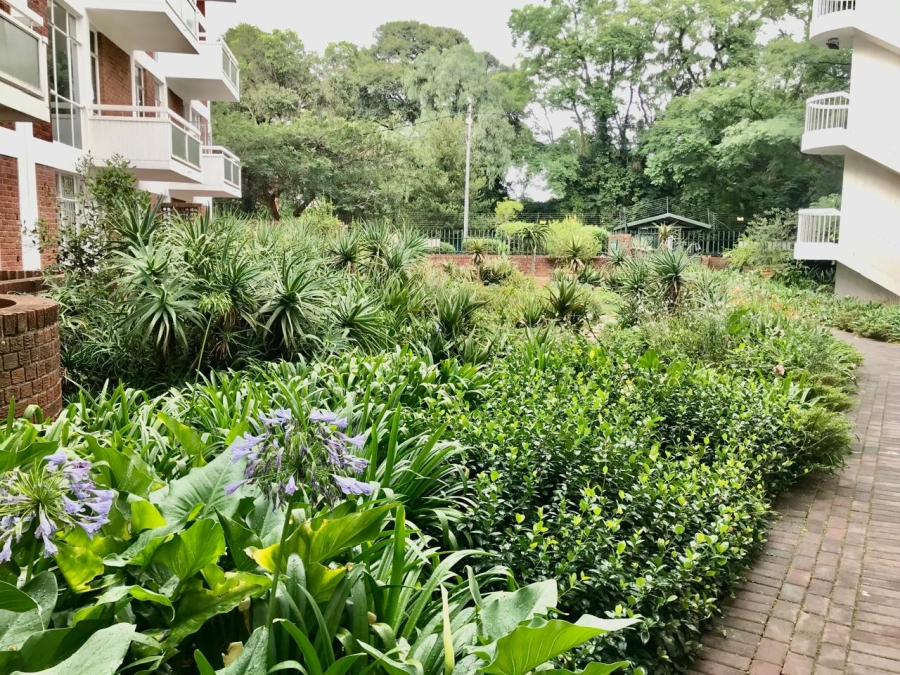 To Let 1 Bedroom Property for Rent in Illovo Gauteng