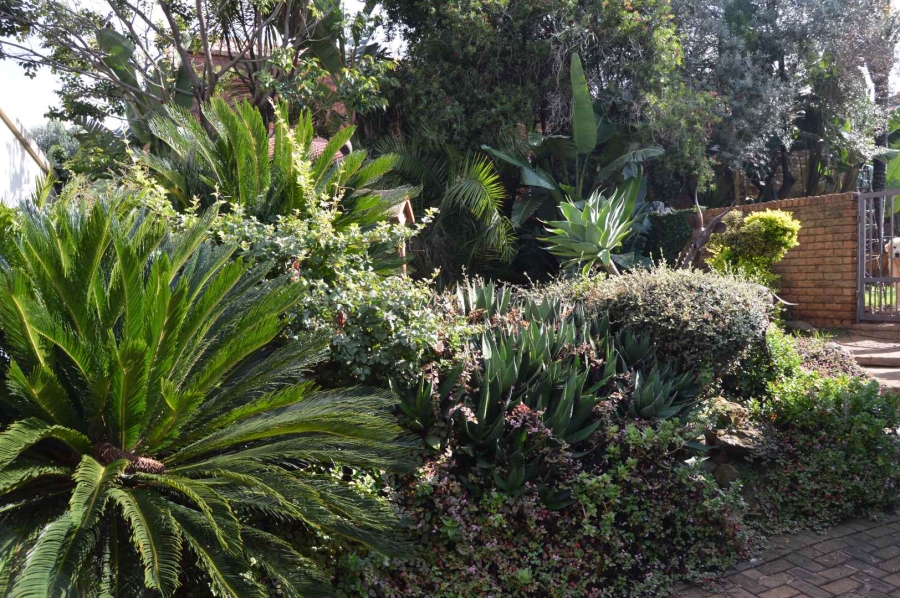 4 Bedroom Property for Sale in Meyersdal Gauteng