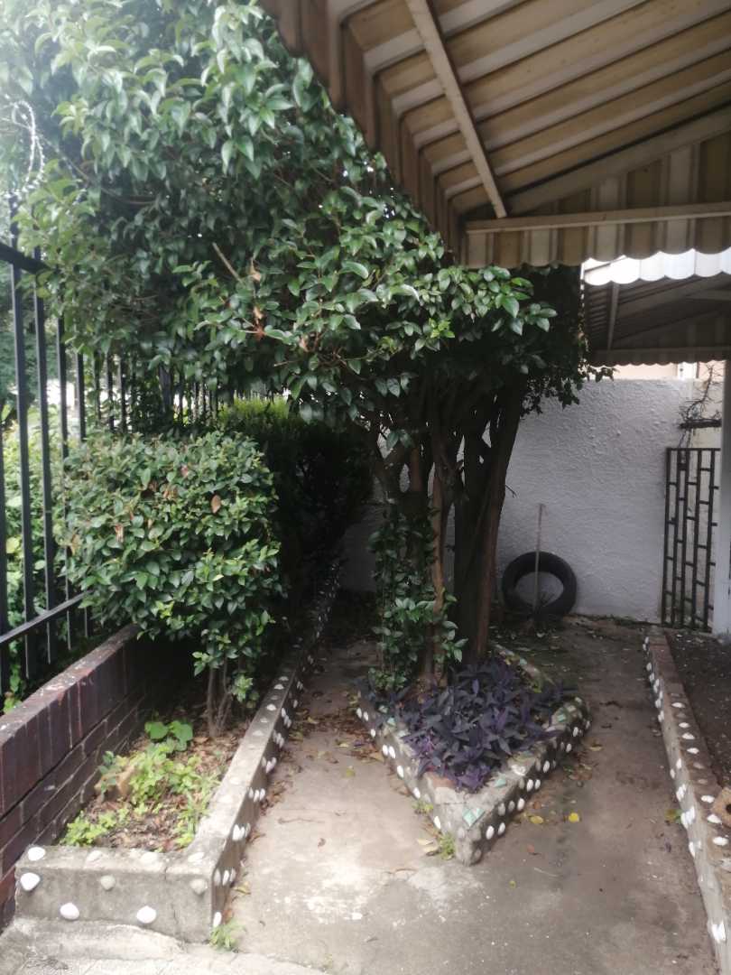 3 Bedroom Property for Sale in Rosettenville Gauteng