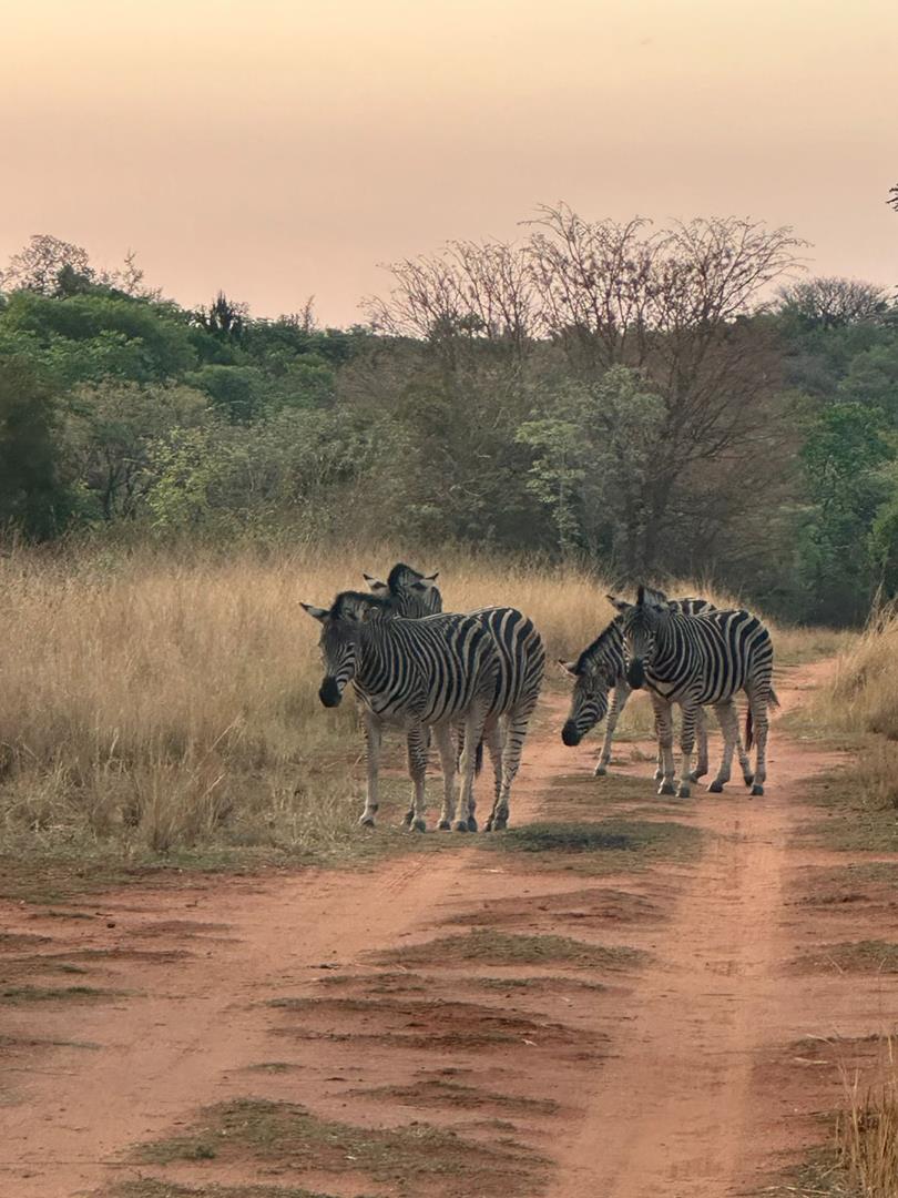 2 Bedroom Property for Sale in Roodeplaat Gauteng