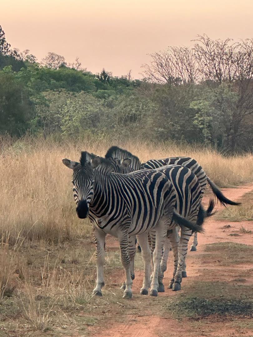 2 Bedroom Property for Sale in Roodeplaat Gauteng