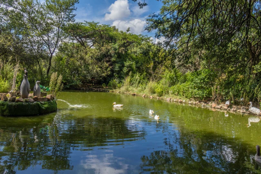 4 Bedroom Property for Sale in Carlswald Gauteng