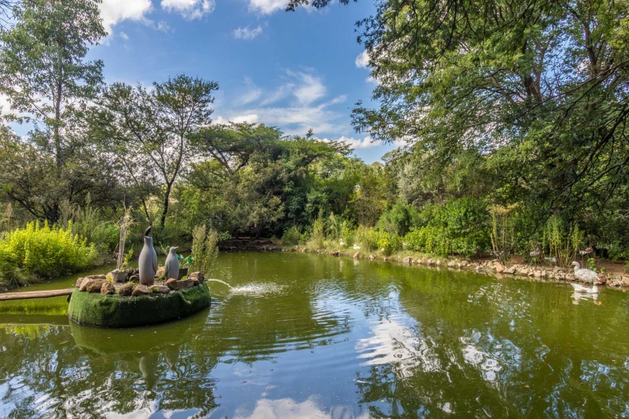 4 Bedroom Property for Sale in Carlswald Gauteng