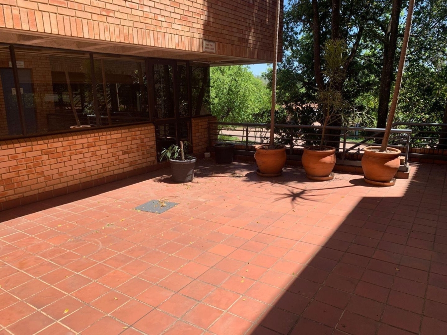 To Let Commercial Property for Rent in Gallo Manor Gauteng