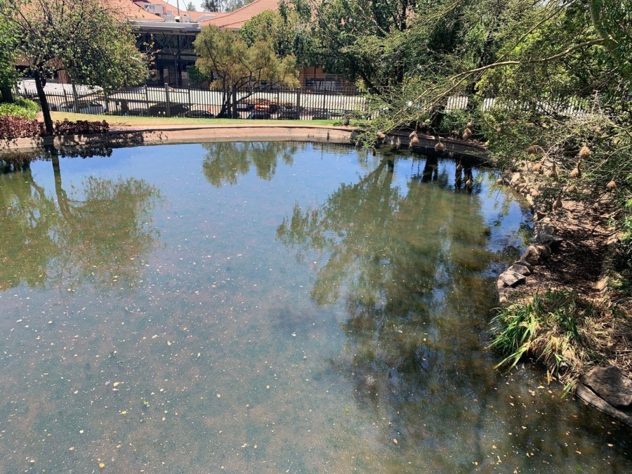 To Let commercial Property for Rent in Woodmead Gauteng