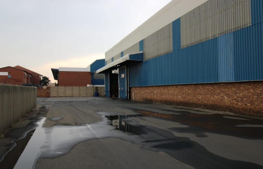 To Let commercial Property for Rent in Comet Gauteng