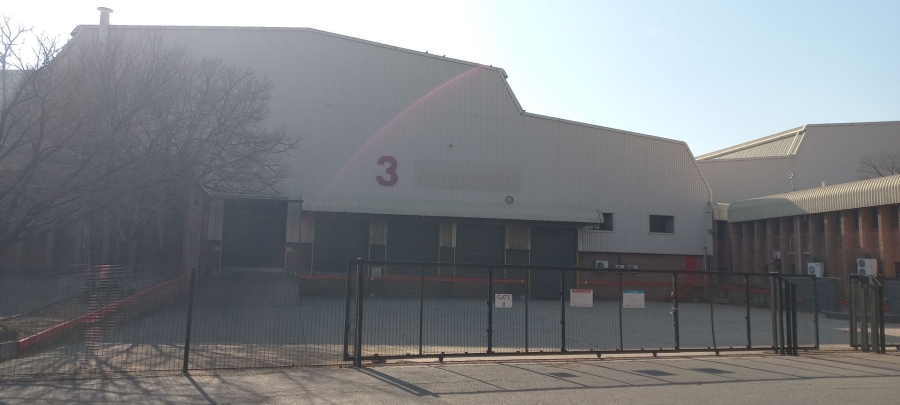 To Let commercial Property for Rent in Alrode Gauteng