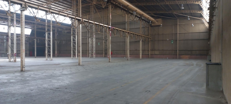 To Let commercial Property for Rent in Alrode Gauteng